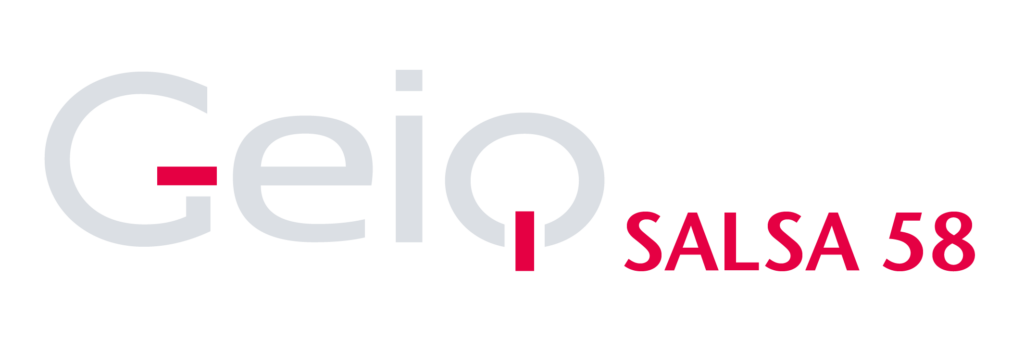 logo geig salsa 58